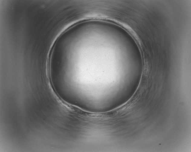 X0000075411295200609251034