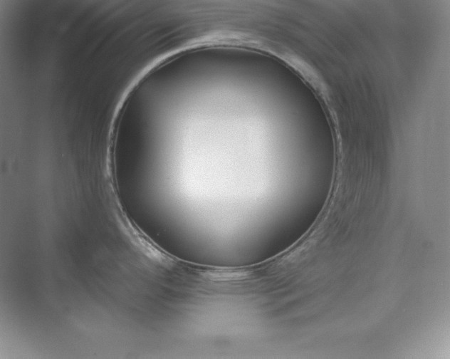 X0000075411296200609251034