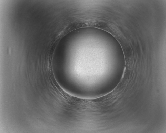 X0000075411298200609251034