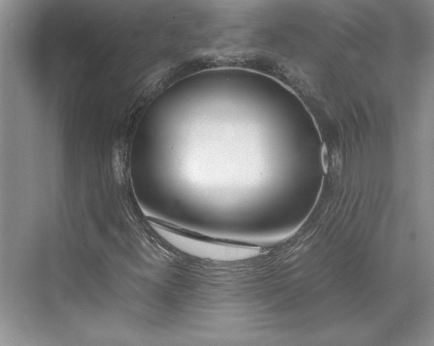 X0000075411300200609251034