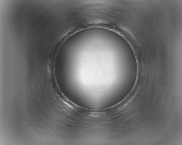 X0000075411305200609251034