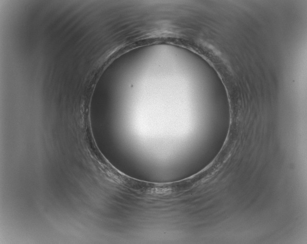 X0000075411313200609251034