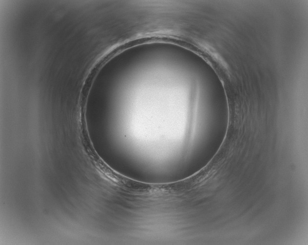 X0000075411316200609251034