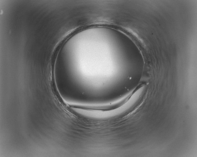 X0000075411317200609251034