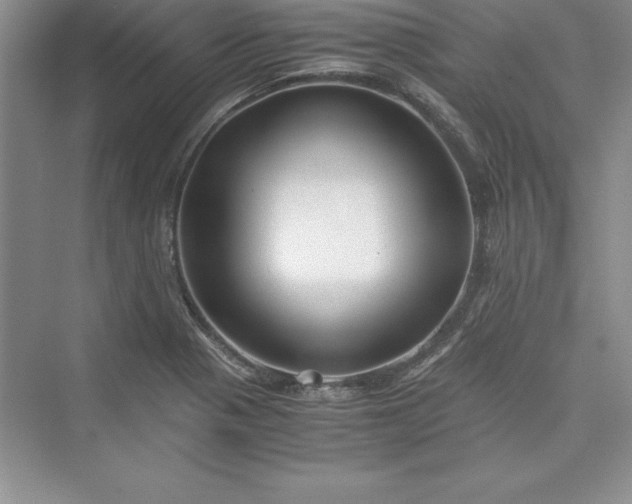 X0000075411321200609251034