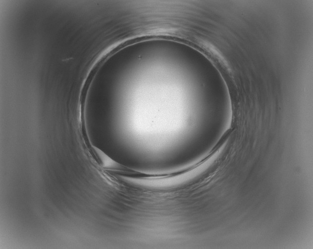 X0000075411324200609251034