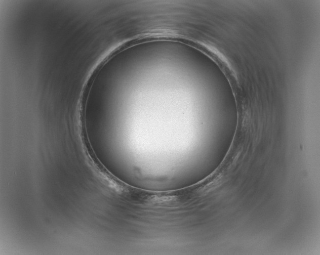 X0000075411325200609251034