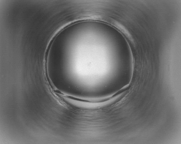 X0000075411332200609251034
