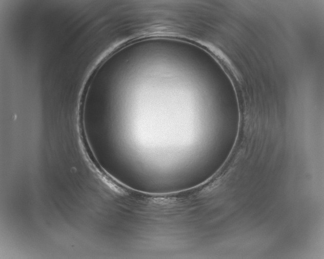 X0000075411333200609251034