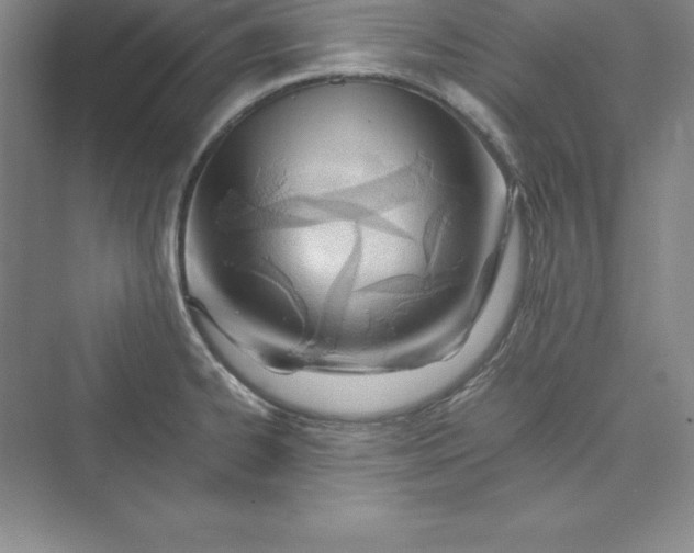 X0000075411334200609251034