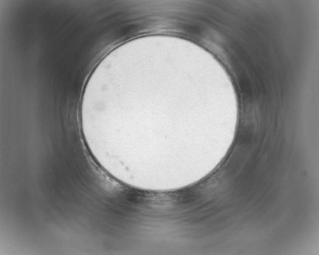 X0000075411338200609251034