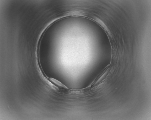 X0000075411339200609251034