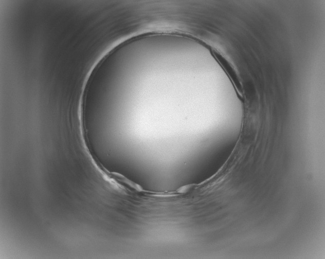 X0000075411343200609251034