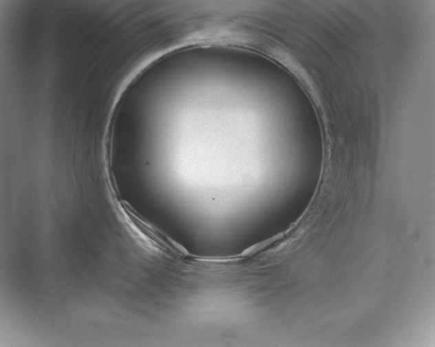 X0000075411344200609251034