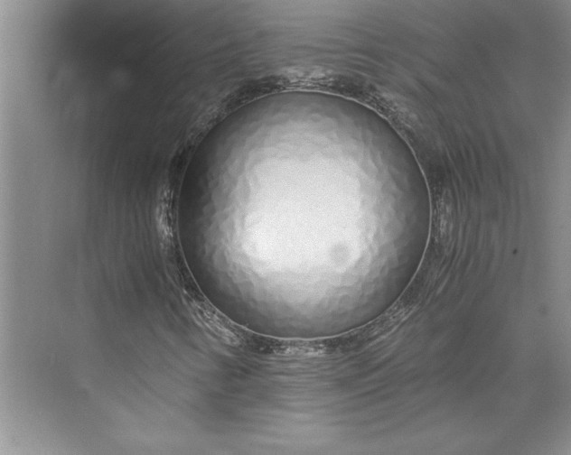 X0000075411346200609251034