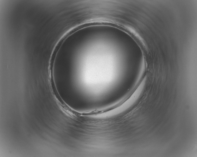 X0000075411372200609251033