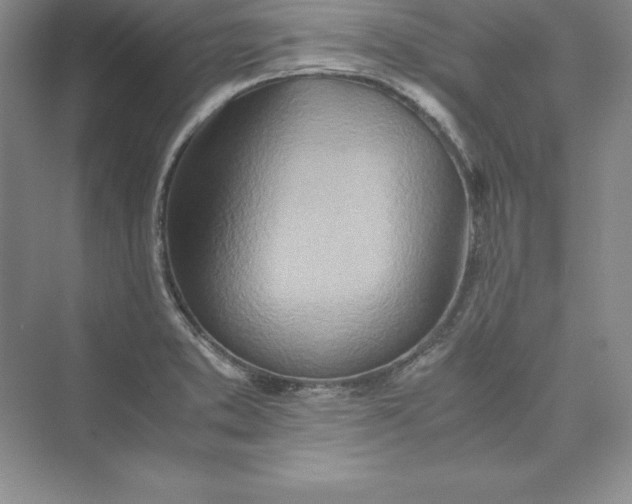 X0000075411373200609251033