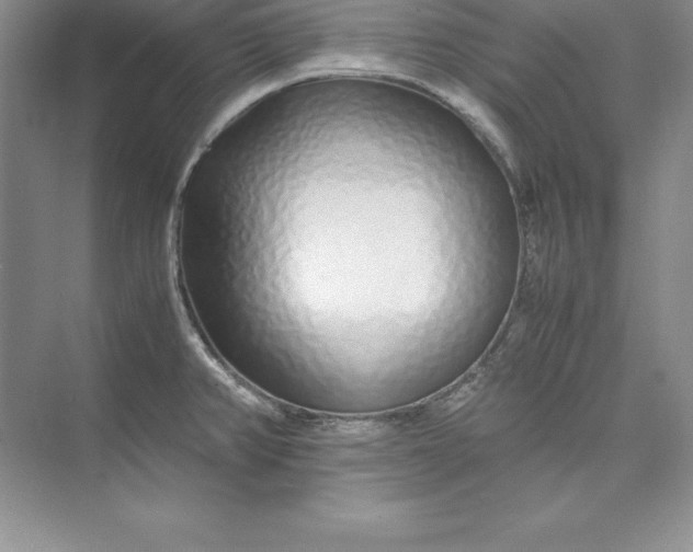 X0000075411382200609251033