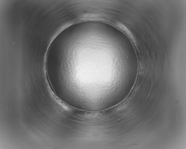 X0000075411386200609251033