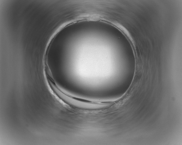 X0000075411389200609251033