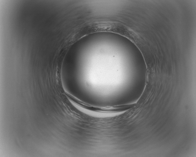 X0000075411394200609251032