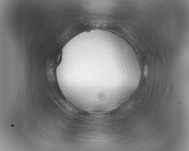 X0000075411396200609251032