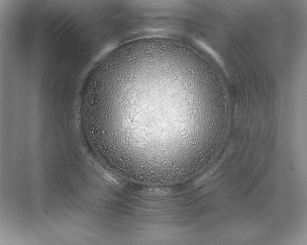X0000075411411200609251032