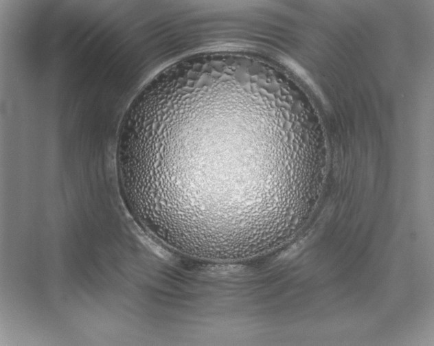 X0000075411417200609251032