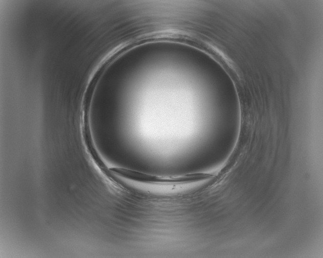 X0000075411418200609251032