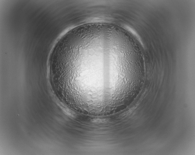 X0000075411419200609251032