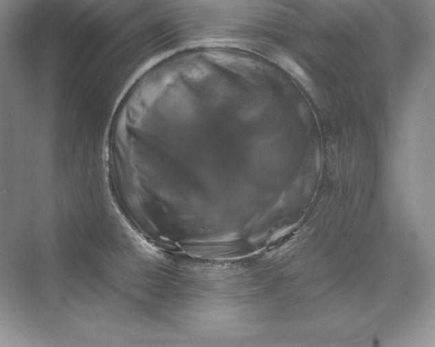 X0000075411428200609251033