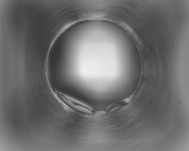 X0000075411432200609251033