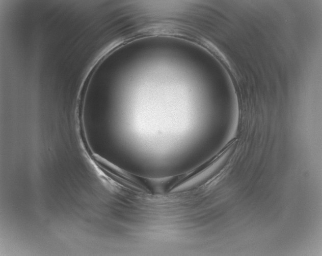 X0000075411434200609251033