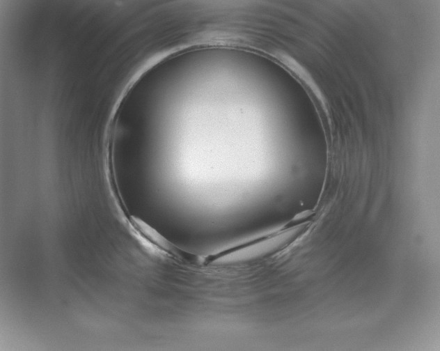 X0000075411437200609251033