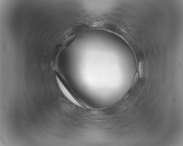 X0000075411443200609251032