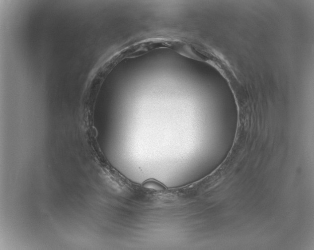 X0000075411448200609251032