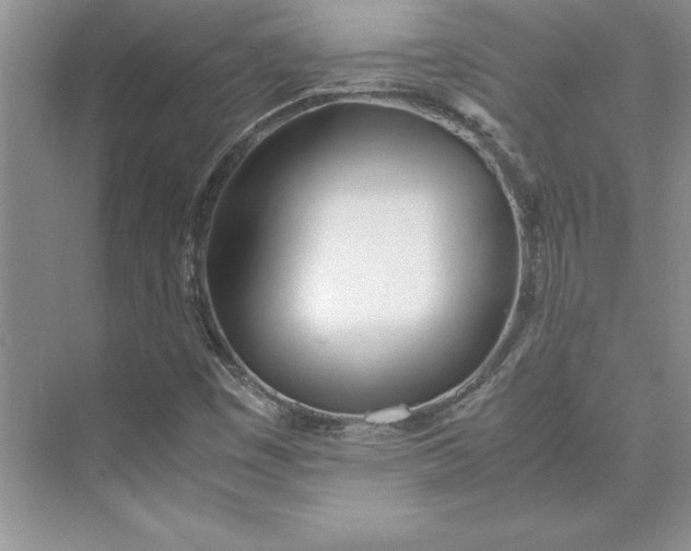 X0000075411449200609251032