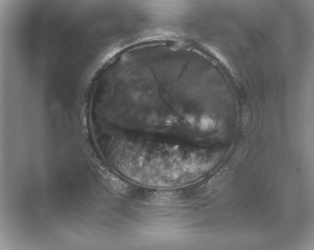 X0000075411455200609251032