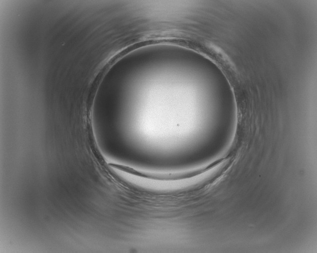 X0000075411457200609251032