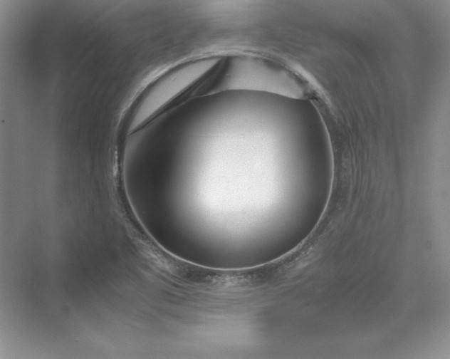 X0000075411461200609251032