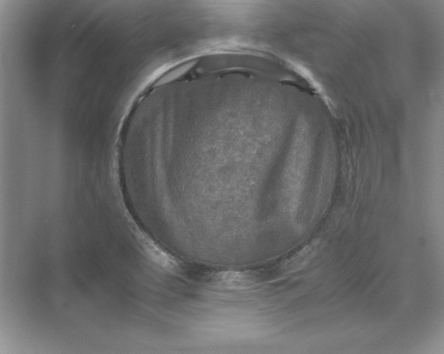 X0000075411463200609251032