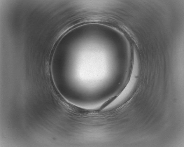 X0000075411465200609251032