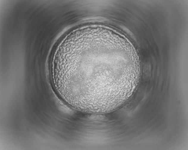 X0000075411466200609251032