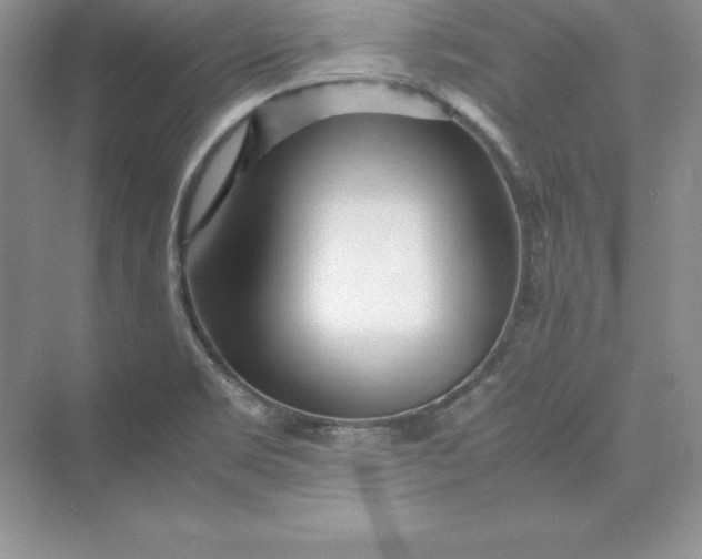 X0000075411469200609251031