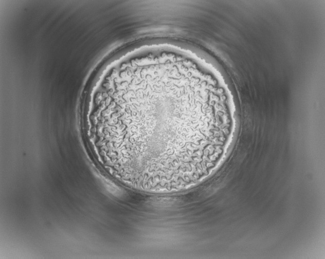 X0000075411474200609251031