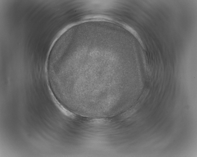 X0000075411482200609251031