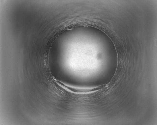 X0000075411490200609251030