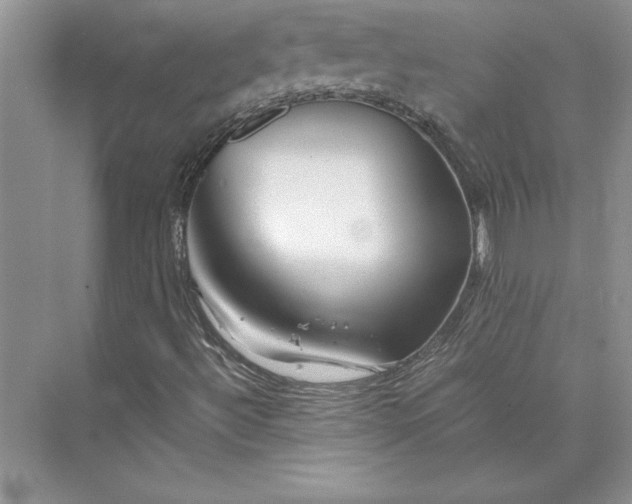 X0000075411492200609251030