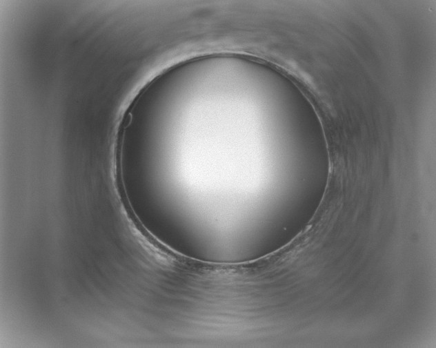 X0000075411512200609251031