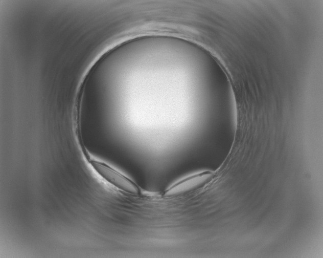 X0000075411531200609251031